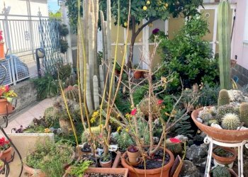 Q237 (58).jpg - Independent house Via Castelletti, Taggia - photo 20