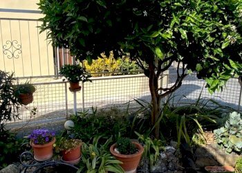 Q237 (63).jpg - Independent house Via Castelletti, Taggia - photo 21