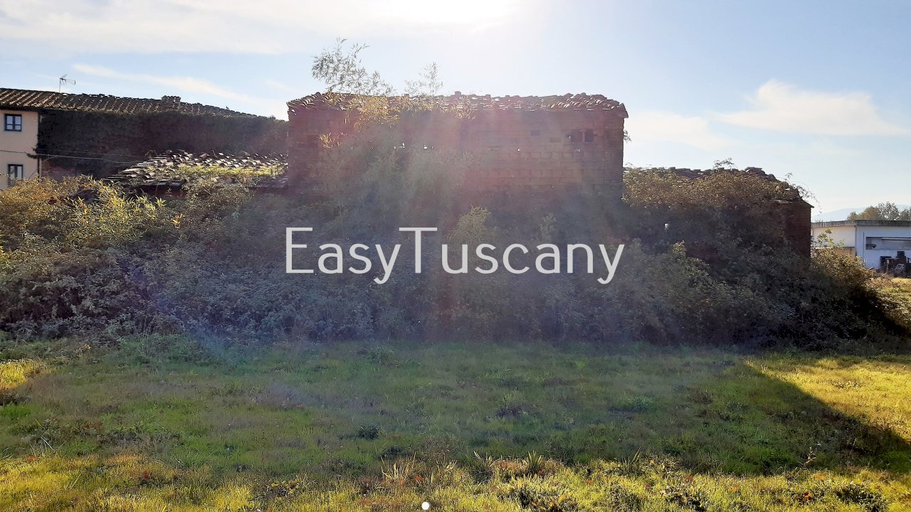 20201125_133621.jpg - Terreno agricolo Castelfranco di Sotto - foto 2