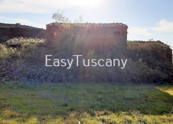 20201125_133621.jpg - Terreno agricolo Castelfranco di Sotto - foto 2