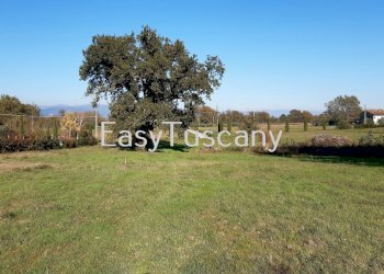 20201125_133743.jpg - Terreno agricolo Castelfranco di Sotto - foto 4