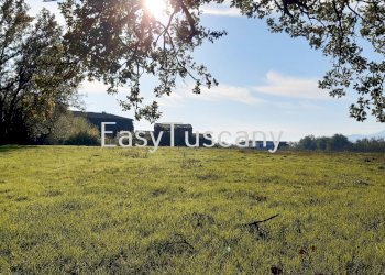 20201125_133918.jpg - Terreno agricolo Castelfranco di Sotto - foto 5