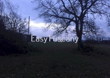 IMG_4845.JPG - Terreno agricolo Castelfranco di Sotto - foto 6