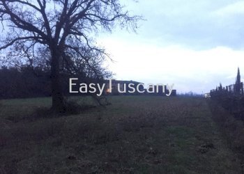 IMG_4846.JPG - Terreno agricolo Castelfranco di Sotto - foto 7