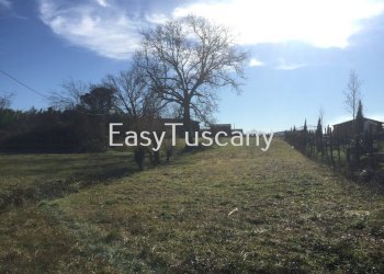 IMG_5032.JPG - Terreno agricolo Castelfranco di Sotto - foto 8