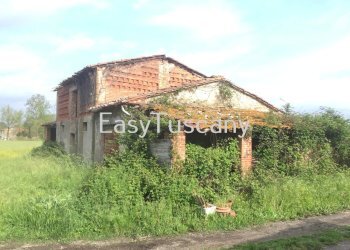 IMG_5326.JPG - Terreno agricolo Castelfranco di Sotto - foto 10
