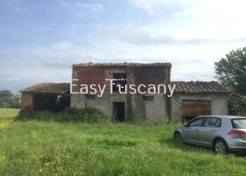 IMG_5327.JPG - Terreno agricolo Castelfranco di Sotto - foto 11