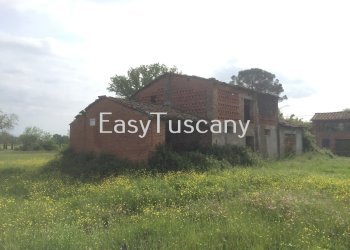 IMG_5328.JPG - Terreno agricolo Castelfranco di Sotto - foto 12