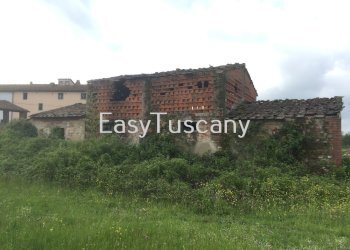 IMG_5329.JPG - Terreno agricolo Castelfranco di Sotto - foto 13