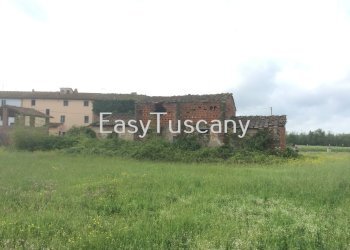 IMG_5330.JPG - Terreno agricolo Castelfranco di Sotto - foto 14