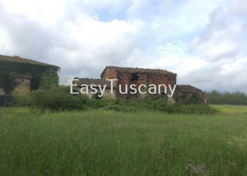 IMG_5331.JPG - Terreno agricolo Castelfranco di Sotto - foto 15