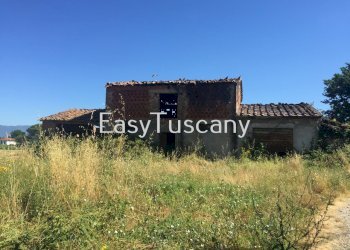 IMG_5640.JPG - Terreno agricolo Castelfranco di Sotto - foto 16