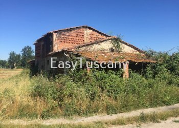 IMG_5641.JPG - Terreno agricolo Castelfranco di Sotto - foto 17