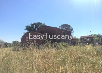 IMG_5642.JPG - Terreno agricolo Castelfranco di Sotto - foto 18