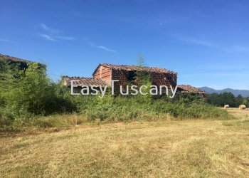 IMG_5646.JPG - Terreno agricolo Castelfranco di Sotto - foto 20