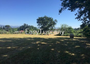 IMG_5647.JPG - Terreno agricolo Castelfranco di Sotto - foto 21