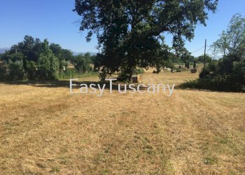 IMG_5648.JPG - Terreno agricolo Castelfranco di Sotto - foto 22