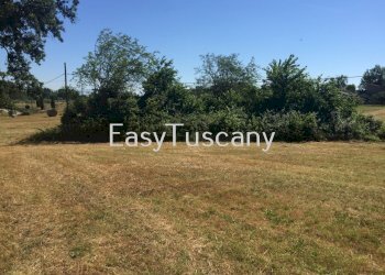 IMG_5649.JPG - Terreno agricolo Castelfranco di Sotto - foto 23