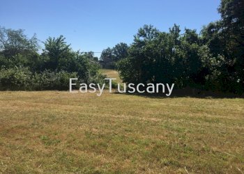 IMG_5650.JPG - Terreno agricolo Castelfranco di Sotto - foto 24