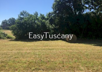 IMG_5651.JPG - Terreno agricolo Castelfranco di Sotto - foto 25