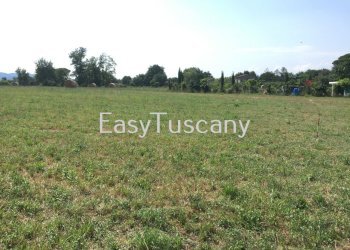 IMG_5734.JPG - Terreno agricolo Castelfranco di Sotto - foto 26