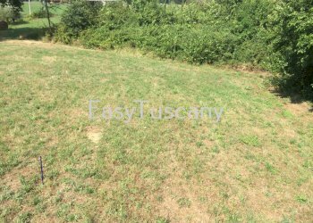 IMG_5735.JPG - Terreno agricolo Castelfranco di Sotto - foto 27