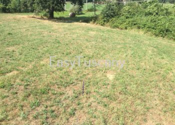 IMG_5736.JPG - Terreno agricolo Castelfranco di Sotto - foto 28