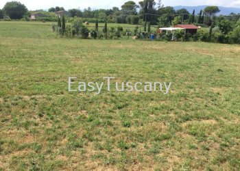 IMG_5739.JPG - Terreno agricolo Castelfranco di Sotto - foto 29