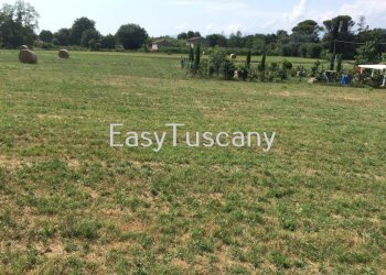 IMG_5740.JPG - Terreno agricolo Castelfranco di Sotto - foto 30