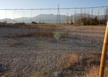 Terreno agricolo I Moretti, Calcinaia - foto 2