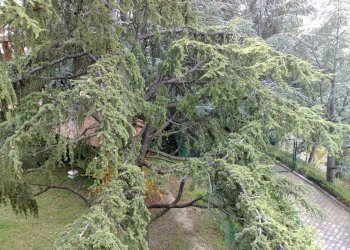 Independent house via G. Leopardi, Montappone - photo 21