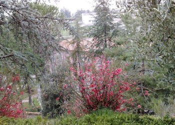 Independent house via G. Leopardi, Montappone - photo 23