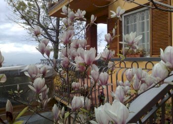 Independent house via G. Leopardi, Montappone - photo 27