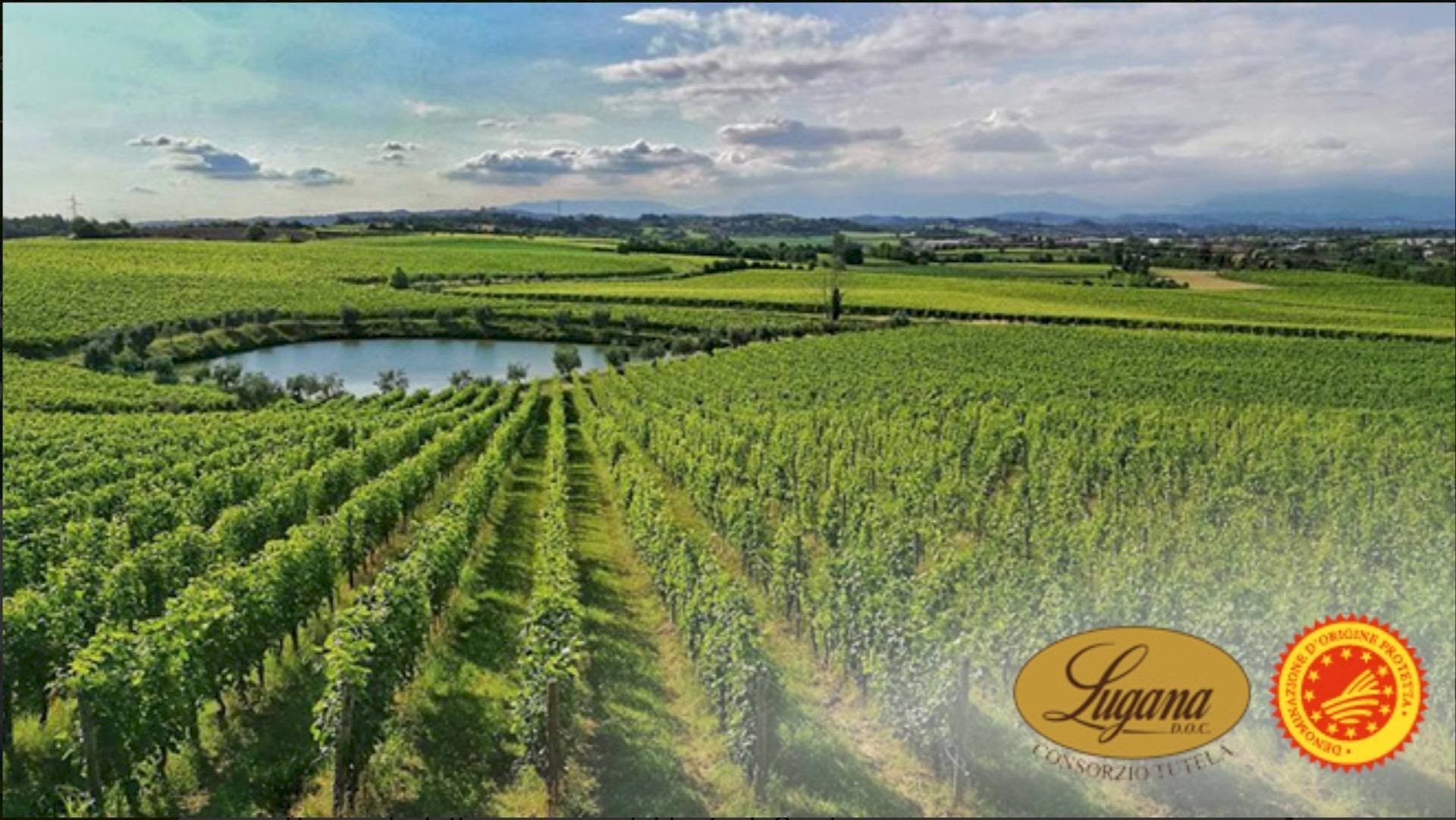 Terreno agricolo Via Abazia San Vigilio, Pozzolengo - foto 2