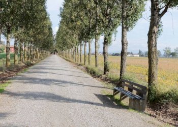 Stabile - Palazzo via San Giuliano, 42, Sale - foto 9