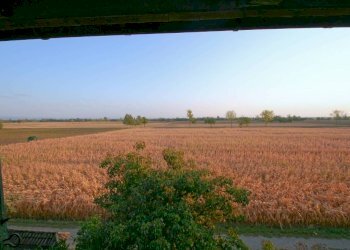 vista - Stabile - Palazzo via San Giuliano, 42, Sale - foto 14