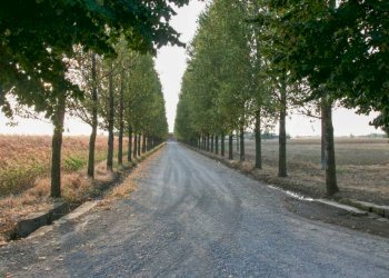 facciata - Stabile - Palazzo via San Giuliano, 42, Sale - foto 2