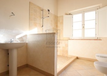 vendesi rustico ristrutturato lucca capannoriIMG_4 - Casale Via Milano 12, Capannori - photo 13