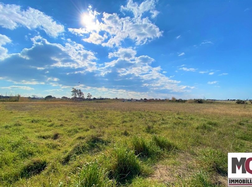 Agricultural land Mondragone - photo 1