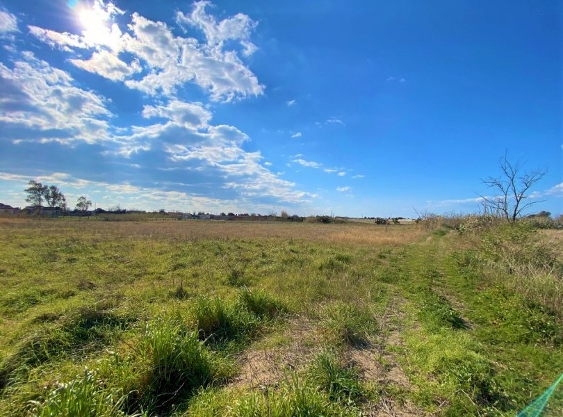 Agricultural land Mondragone - photo 3