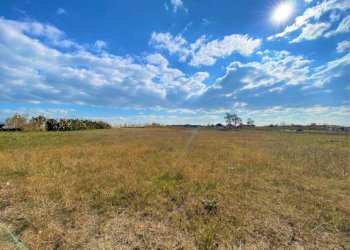 Agricultural land Mondragone - photo 4