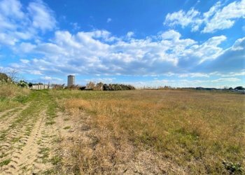 Agricultural land Mondragone - photo 5