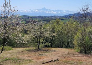aloieboasso-marentino-localita-tetti-ottone1 - Terreno edificabile Località Tetti Ottone, 10, Marentino - foto 4