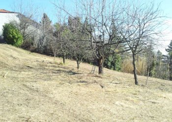 aloieboasso-marentino-localita-tetti-ottone5 - Terreno edificabile Località Tetti Ottone, 10, Marentino - foto 7