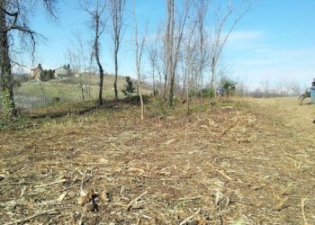 aloieboasso-marentino-localita-tetti-ottone7 - Terreno edificabile Località Tetti Ottone, 10, Marentino - foto 9