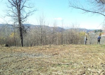 aloieboasso-marentino-localita-tetti-ottone10 - Terreno edificabile Località Tetti Ottone, 10, Marentino - foto 11