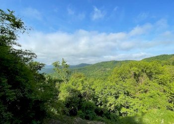 Immagine WhatsApp 2023-04-13 ore 19.17.16.jpg - Rustic San Bartolomeo del Bosco, Savona - photo 10