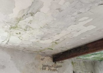 WhatsApp Image 2026-04-07 at 19.40.25 (5).jpeg - Rustic San Bartolomeo del Bosco, Savona - photo 24