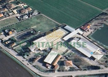 Capannone San Pietro in Casale - foto 3