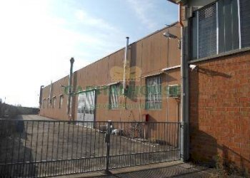 Capannone San Pietro in Casale - foto 4